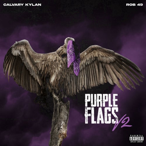 Purple Flags V2