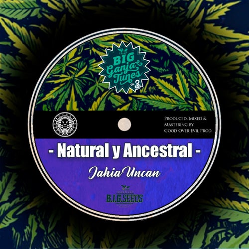 Release of the week