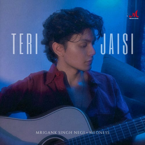 Teri Jaisi