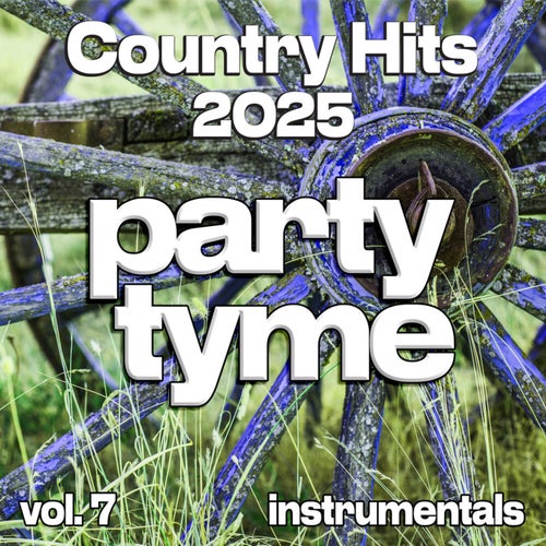 Country Hits 2025, Vol. 7 (Instrumental)