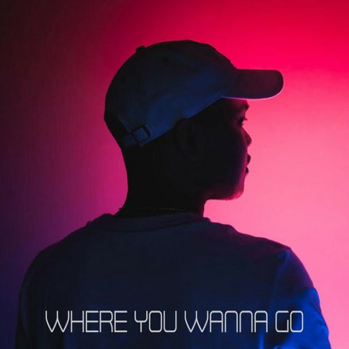 Where You Wanna Go