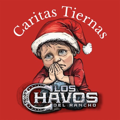 Caritas Tiernas