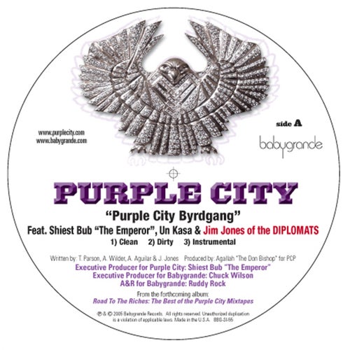 Purple City Byrdgang (feat. Jim Jones (of the Diplomats), Un Kasa & Sheist Bubz) (12")