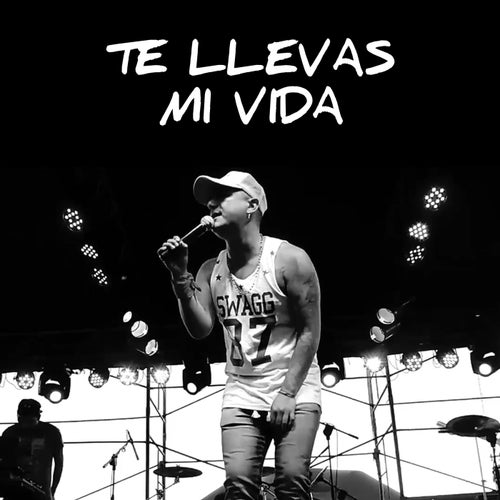Te Llevas Mi Vida