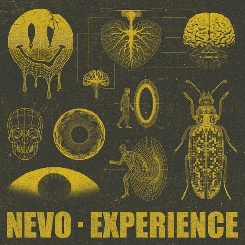 Experience