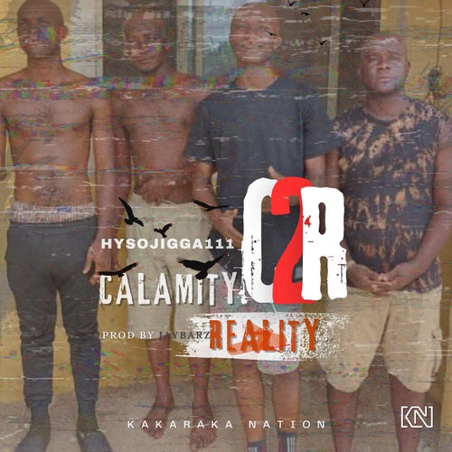 C2R (Calamity2Reality)