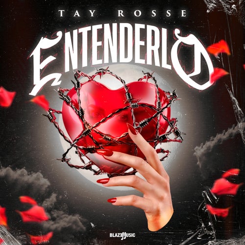 Entenderlo