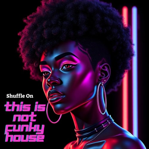 Shuffle On - This Is Not Funky House