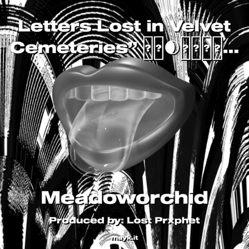 Letters Lost in Velvet Cemeteries