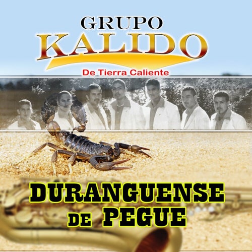 Duranguense De Pegue