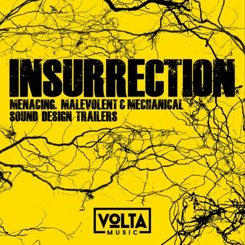 Insurrection