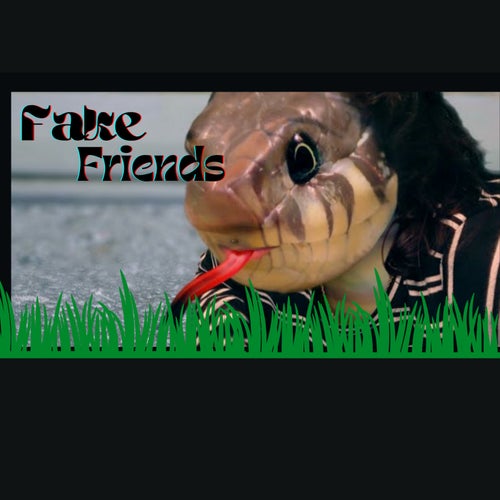 Fake Friends