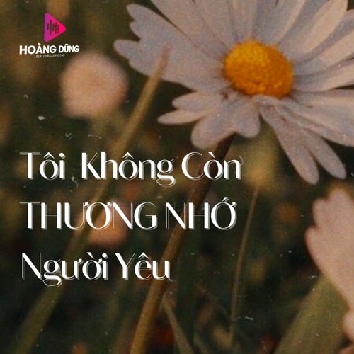 Tôi Không Còn Thương Nhớ Người Yêu