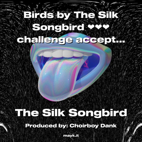 Birds by The  Songbird  challenge accepted