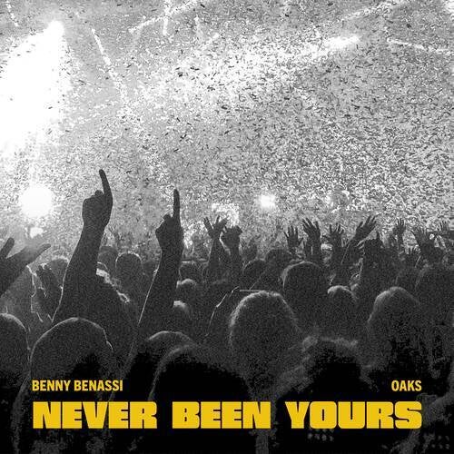 Never Been Yours (Extended Mix)