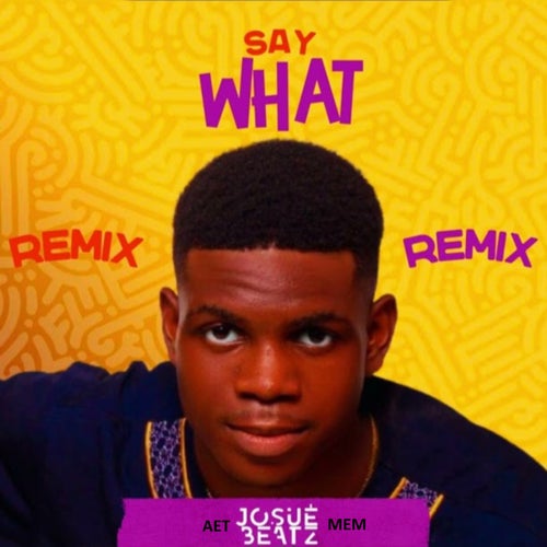 Say What (Remix)