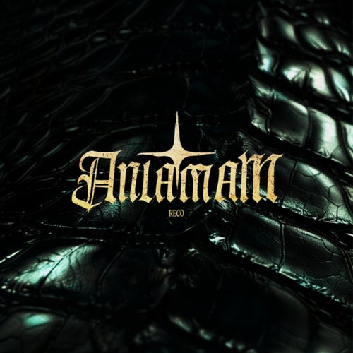 ANLAMAM