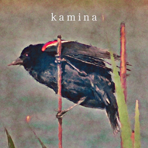 Untitled Kamina Tape