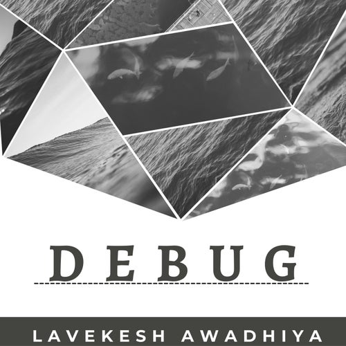Debug