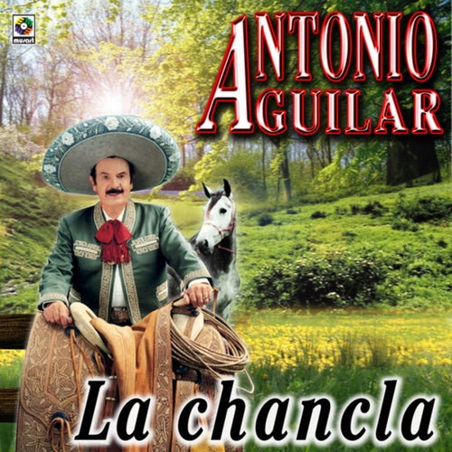 Tampico Hermoso
