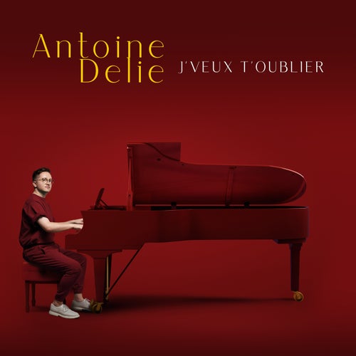 J'veux t'oublier