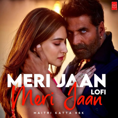 Meri Jaan Meri Jaan (LoFi)