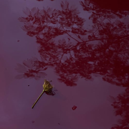 boniká pero apená