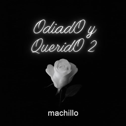 Odiado Y Querido 2
