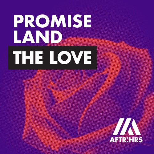 The Love (Extended Mix)