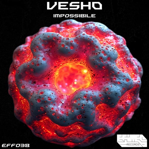 Release of the week