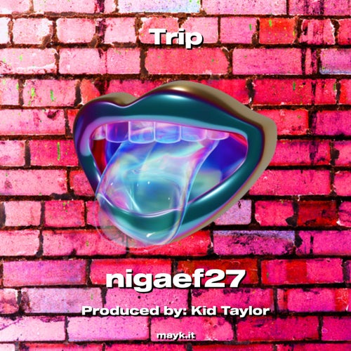 Trip