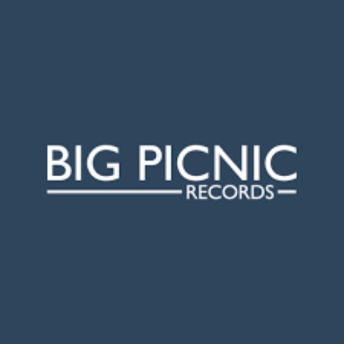 Big Picnic Records Profile