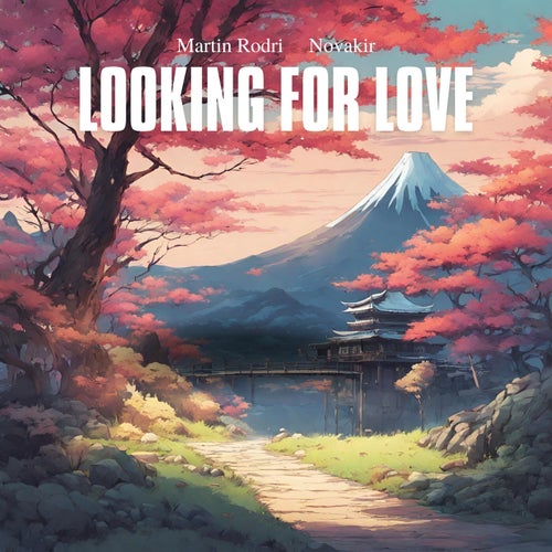 Looking for Love (feat. Novakir)