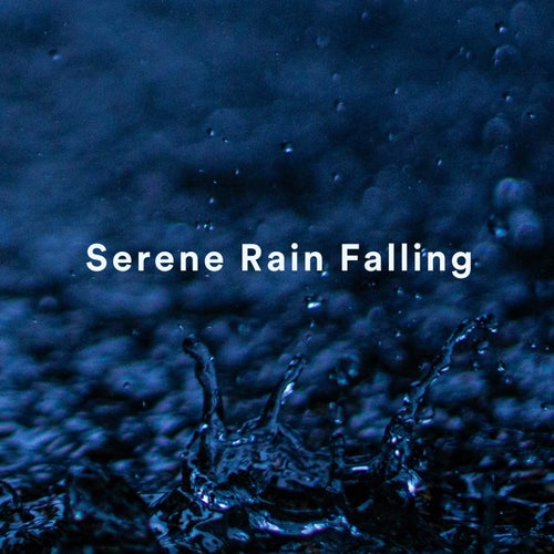 Serene Rain Falling