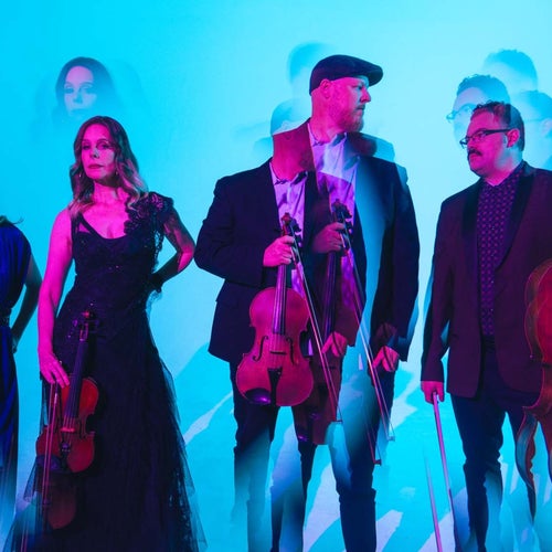 Vitamin String Quartet Profile