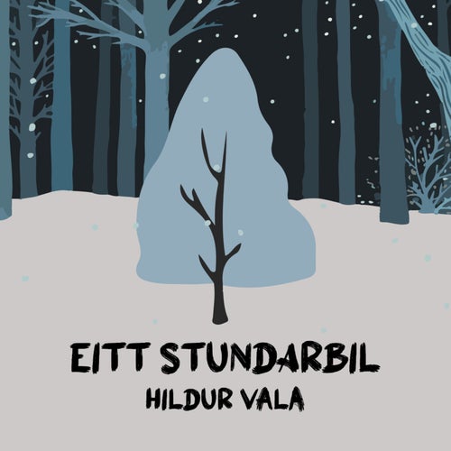 Eitt stundarbil