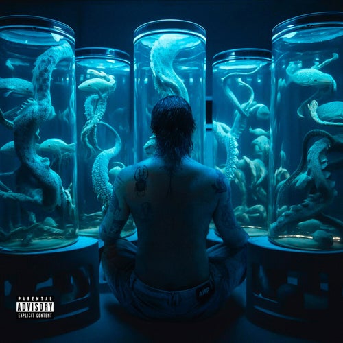 Release of the week