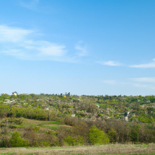 Village