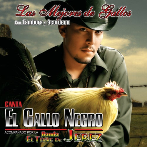 El Gallo Zapateado