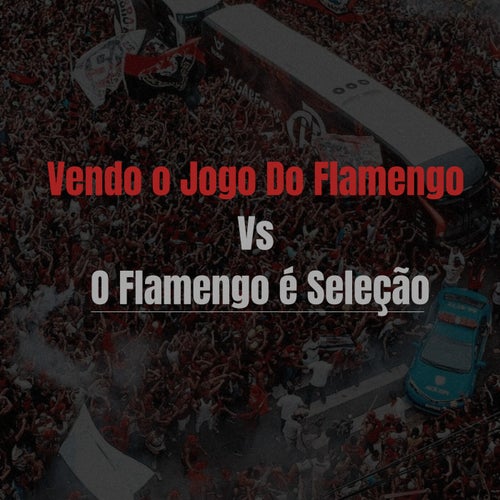 Vendo o Jogo Do Flamengo Vs O Flamengo é Seleção