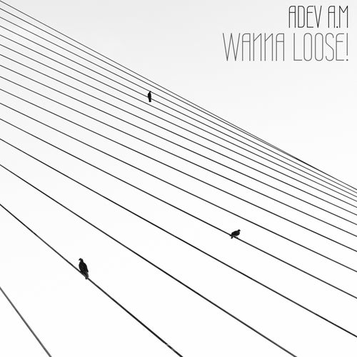 Release of the week