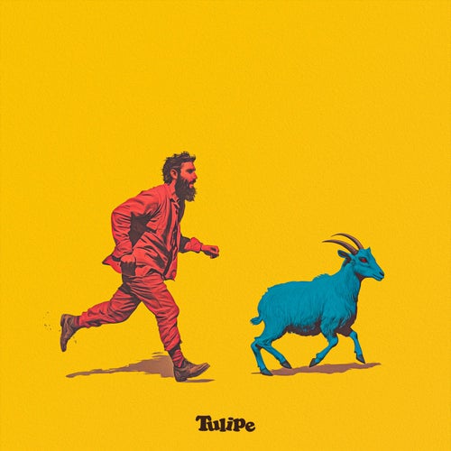 Release of the week
