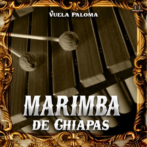 Vuela Paloma