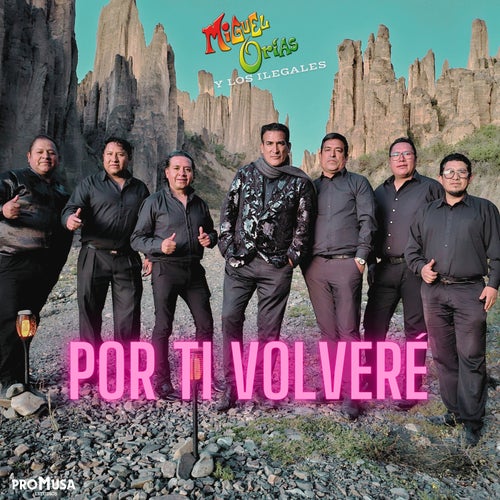 Por Ti Volveré
