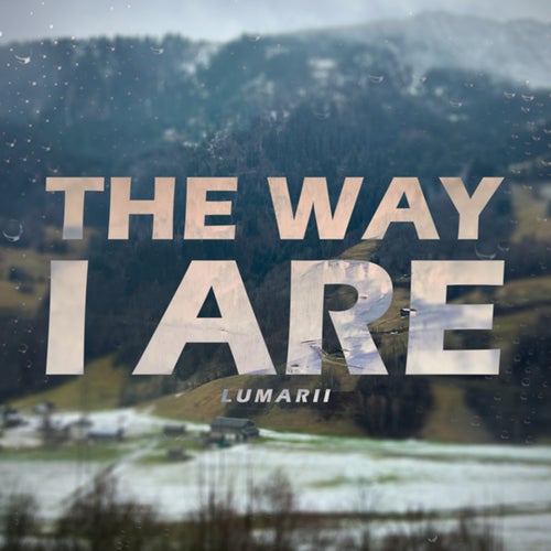 The Way I Are (Extended Mix)