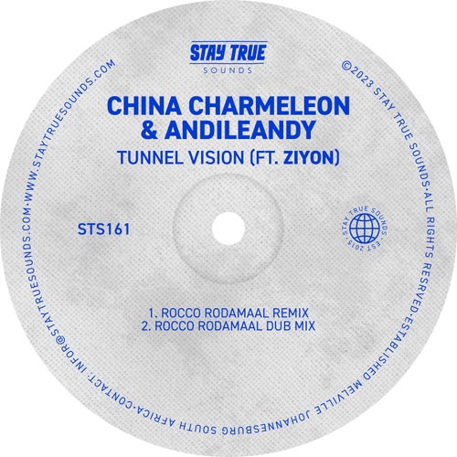 Tunnel Vision (feat. Ziyon) [Rocco Rodamaal Remix]