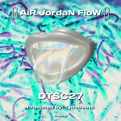 AiR JordaN FloW