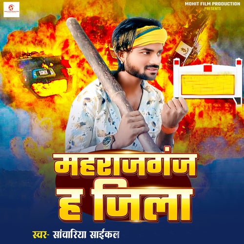 Maharajganj Ha Jila