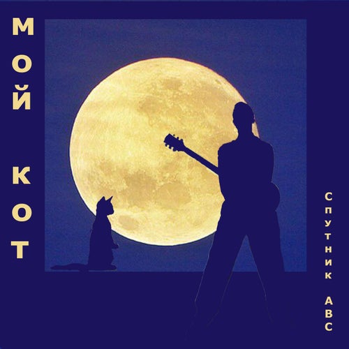 Мой кот