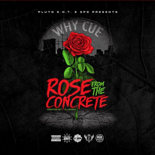 Rose From The Concrete